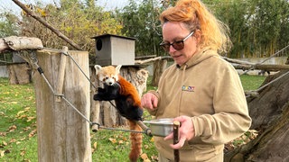 Zoo-Tiertraining_Heidelberg