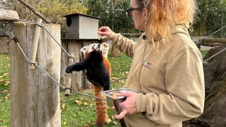 Zoo-Tiertraining_Heidelberg