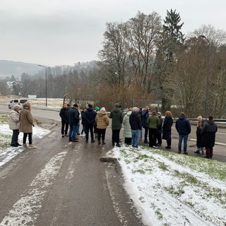 Petition für Ampel in Neckargemünd