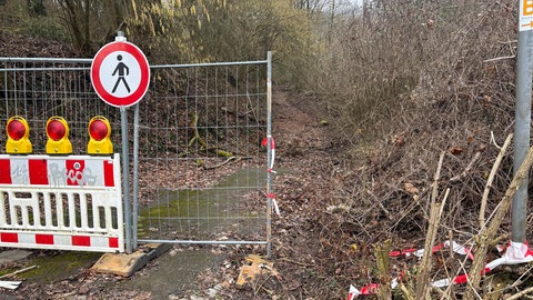 Ein gesperrter Waldweg in Weinheim