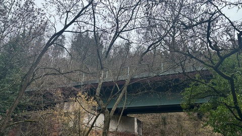 Eine Brücke unterhalb der Weinheimer Wachenburg