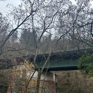 Eine Brücke unterhalb der Weinheimer Wachenburg