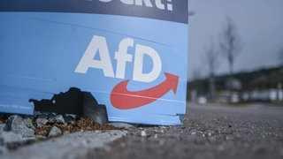 AfD Wahlplakat