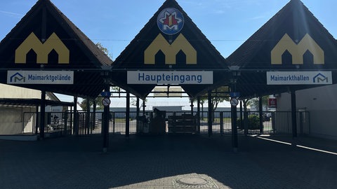 Auf dem Bösfeld hat der Aufbau des Maimarkts Mannheim begonnen