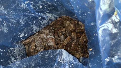 Offen, im Müllsack aufbewahrtes Fleisch in einer Tiefkühlzelle.