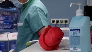 Ein Herzmodell aus dem 3D-Drucker im OP-Saal
