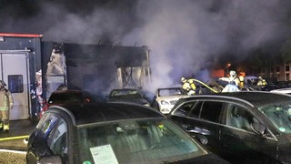 In einem Autohaus in einem Gewerbegebiet in Mannheim ist am frühen Samstagmorgen ein Feuer ausgebrochen.