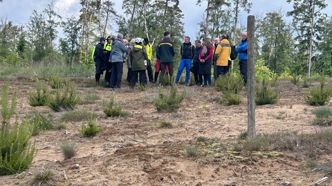 Mitten auf Baden-Württembergs höchster sogenannter Flugsanddüne: Ein Natur-Highlight, das die angehenden RadGuides in ihrer letzten Ausbildungseinheit im Rhein-Neckar-Kreis zu sehen bekommen. 