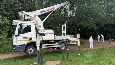 LKW mit Hubsteiger, ein paar Baumpfleger mit Schutzanzügen