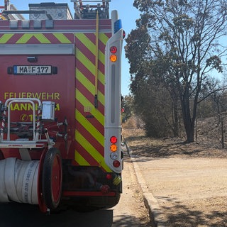 Brand auf Friesenheimer Insel