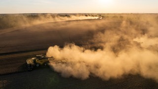 Hitze in Deutschland: Trockende Felder überall