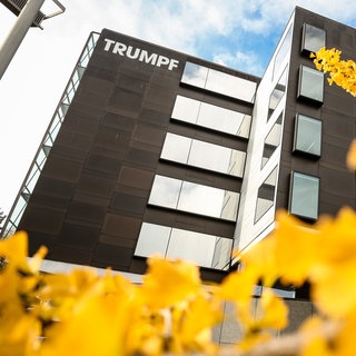 Tumpf in Ditzingen fotografiert durch gelbes Blattwerk: Die Firma will ihr 100-jähriges Bestehen mit einem grünen Laserstrahl über dem Unternehmenssitz feiern.