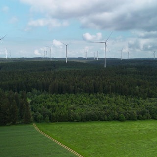 Windräder ragen aus einem Wald bei Lauterstein: Der dortige Windpark gehört zu den größten in Baden-Württemberg.