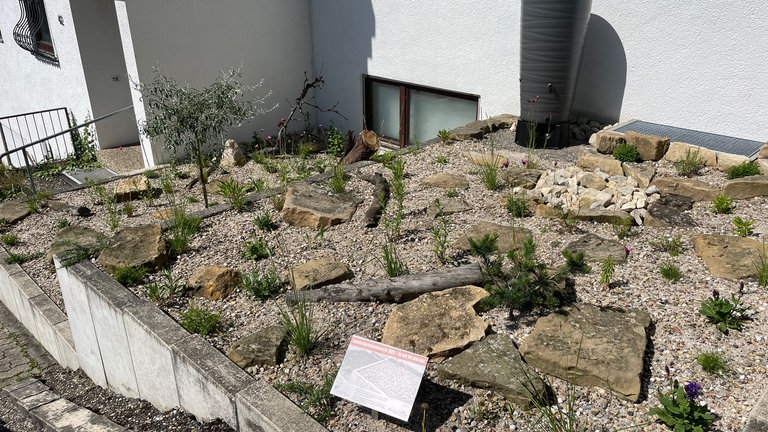 Schottergartenwettbewerb Holzgerlingen - Garten Penno nachher