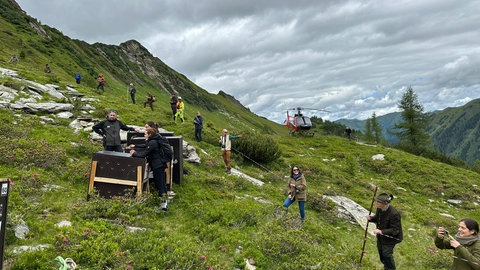 Oberhalb der Baumgrenze werden die Steinböcke aus der Wilhelma freigelassen