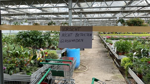 Hagel hat Gewächshaus in Remseck zerstört: Ein Schild warnt vor Glasschaden