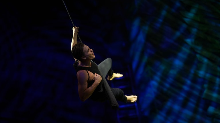 Tarzan (Alexander Klaws) hängt an einem Seil und schwingt über die Bühne (Foto: SWR, Jakob Sax)