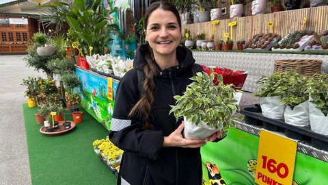 Stuttgarter Frühlingsfest 2025: Ein Los-Stand nur mit Pflanzen