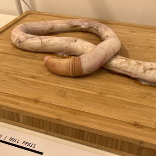 Ein "bulls penis" vom Disgusting Food Museum