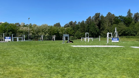 Auf einer grünen Wiese ist der Parcours der diesjährigen Drone Championship aufgebaut. Kleine weiße Tore und Hindernisse zeigen den Piloten wo sie entlang fliegen müssen.