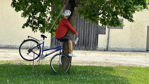 Fahrrad und Radler-Strohpuppe nach Sturz an Baum.