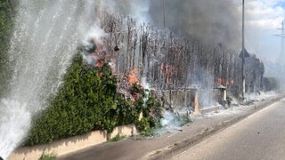 Durch Funkenflug aus einem Grill hat eine Hecke in KirchheimTeck Feuer gefangen. 