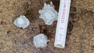 Hagel hat Gewächshaus in Remseck zerstört