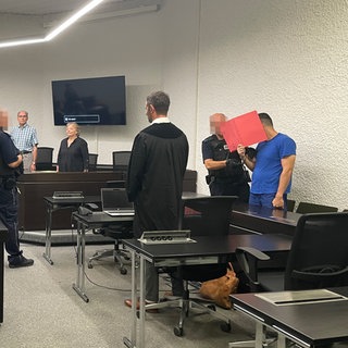 Der Angeklagte im Mordprozess verbirgt sein Gesicht hinter einer roten Mappe (Archivbild).