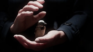Ausschnitt aus dem Animationsfilm "A Sparrow's Song" von Tobias Eckerlin von der Filmakademie Ludwigsburg