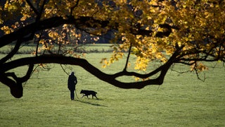 Eine Frau geht bei Herbstwetter mit ihrem Hund in einem Park spazieren. (Archivbild)