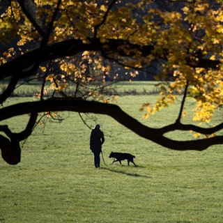 Eine Frau geht bei Herbstwetter mit ihrem Hund in einem Park spazieren. (Archivbild)