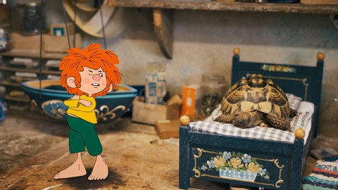 Schildkröte Schildegard hat es sich in Pumuckls Bett bequem gemacht. Animiert wurde der Kobold in Ludwigsburg. 