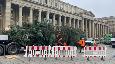 Weihnachtsbaum auf Schlossplatz in Stuttgart