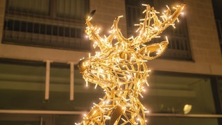 Weihnachtsbeleuchtung in Sindelfingen