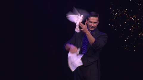 Zauberkünstler mit flatternde Taube in Hand