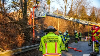Unfall in Notzingen: 16-Jähriger wird schwer verletzt