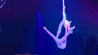 Zirkus in Stuttgart: zwei Artisten hängen an einem Seil