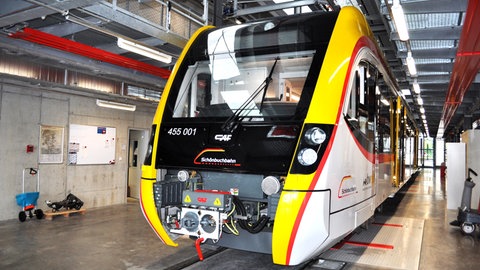 Eines der neuen E-Fahrzeuge für die Schönbuchbahn. Sie sorgen immer wieder für Probleme.