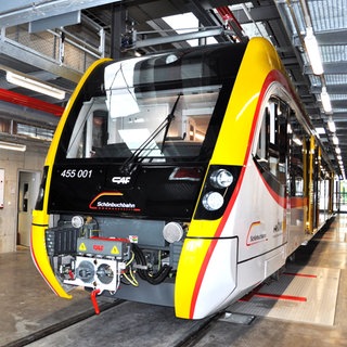 Eines der neuen E-Fahrzeuge für die Schönbuchbahn. Sie sorgen immer wieder für Probleme.