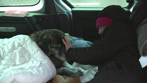 Divna Lasarevic hat mit ihrer Hündin Shanti einige Zeit im Auto gelebt. 