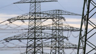 Überlandleitungen führen zu einem Umspannwerk. In Teilen von Stuttgart ist am frühen Freitagabend der Strom ausgefallen.