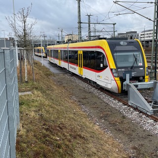 Schönbuchbahn im Bahnhof Böblingen