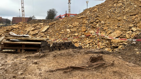 Fachleute graben in Stuttgart-Bad Cannstatt bestattete Pferde aus Zeiten des Römischen Reichs aus.