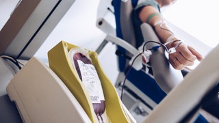 Klinkum Stuttgart ehrt langjährige Blutspender.