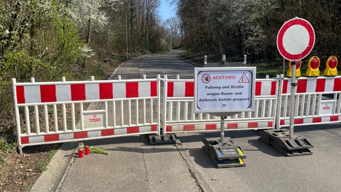 Barken und Hinweisschilder weisen auf die Gefahr in der Klinglestalstraße in Waiblingen zwischen Kleinhegnach und Neustadt hin: Dort hat am Dienstag ein umstürzender Baum ein Auto getroffen, der 55-jährige Fahrer kam dabei ums Leben.