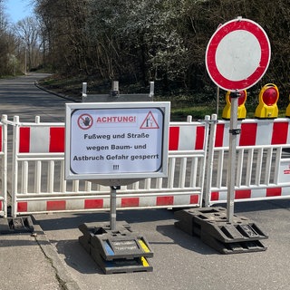 Barken und Hinweisschilder weisen auf die Gefahr in der Klinglestalstraße in Waiblingen zwischen Kleinhegnach und Neustadt hin: Dort hat am Dienstag ein umstürzender Baum ein Auto getroffen, der 55-jährige Fahrer kam dabei ums Leben.