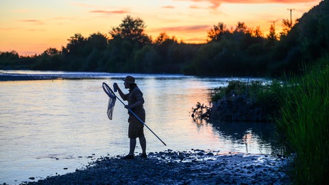 Benedict Stocker ist für die Studie mit einem Kescher Fliegen fangen gegangen.