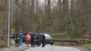 Rettungskräfte stehen an einer Unfallstelle. Ein Autofahrer war getötet worden, als ein Baum in Waiblingen auf seinen fahrenden Wagen stürzte.
