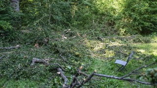 Einsatzkräfte stehen im Wald, wo ein 76-Jähriger von einem herabstürzenden Ast erschlagen wurde.