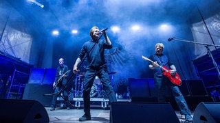Die Toten Hosen bei einem Live-Konzert auf der Bühne.